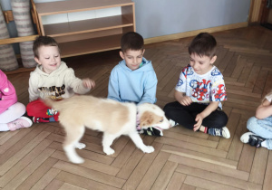 Pies podchodzi do dzieci