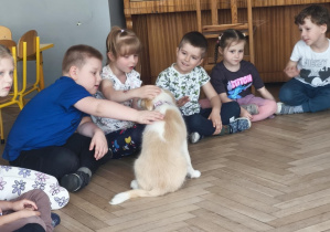 Pies podchodzi do dzieci