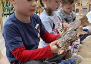 dzieci oglądają korę drzew