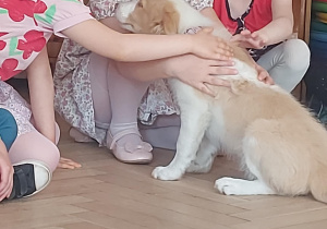 Poznawanie się z dziećmi