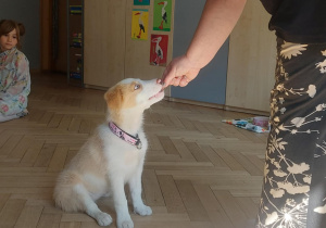 Bibi dostaje nagrodę za wykonanie zadania