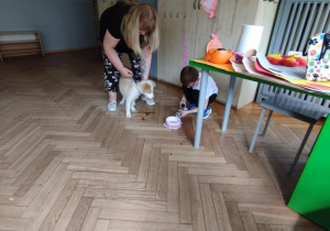 Na zdjęciu widzimy chłopca, który nalewa do miski Bibi wody.