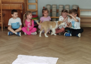 Na zdjęciu widzimy Bibi, która jest głaskana przez grupkę dzieci.