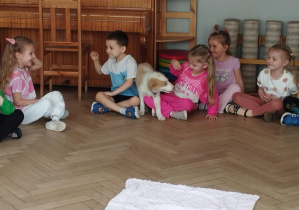 Na zdjęciu widzimy dziewczynkę, przy której znajduje się Bibi.