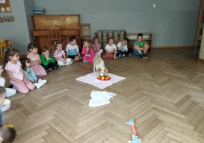Na zdjęciu widzimy Bibi, która szuka smakołyków na macie.