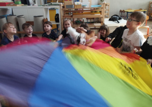 Na zdjęciu widzimy dzieci, które uczestniczą w zabawie z wykorzystaniem chusty animacyjnej i koni.