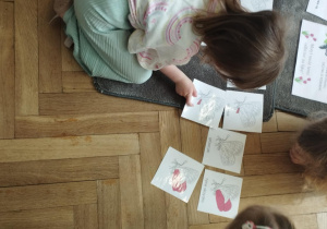 Na zdjęciu widzimy dziewczynkę, które przyporządkowuje ilustrację przedstawiającą budowę motyla do ilustracji znajdujących się na dywaniku.