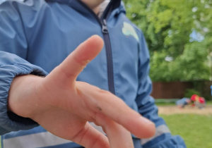 Zdjęcie 13 na 29