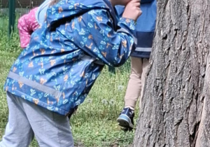 Zdjęcie 22 na 29