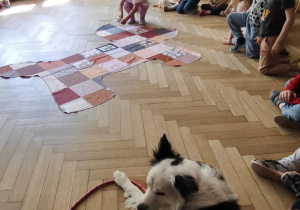 Dziecko szukające na macie właściwy fragment obrazujący sierść psa