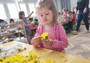 Dziecko wybierające i przeliczające kwiaty na wianek