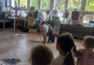 Na zdjęciu widać psa oczekującego na komendę