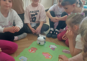 układanie puzzli i zadań do wykonania dla pandy