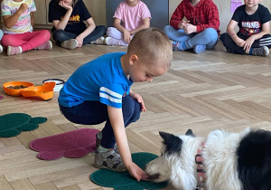 Zdjęcie przedstawia chłopca dającego psu przysmak.