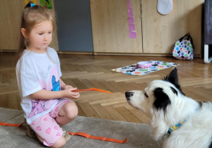 Zdjęcie przedstawia dziecko i psa. Dziecko podaje psu przysmak.
