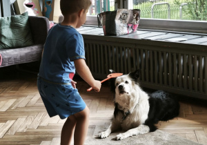 Dzieci podają psu karmę