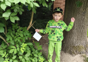 Na zdjęciu widzimy chłopca, który odnalazł powieszoną zagadkę w ogrodzie przedszkolnym.