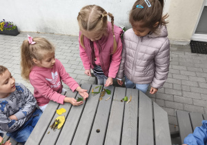 Na zdjęciu widzimy grupkę dzieci, które siedzą przy stolikach na tarasie przedszkolnym. Przed każdym z dzieci leżą zebrane z ogrodu przedszkolnego materiały naturalne.