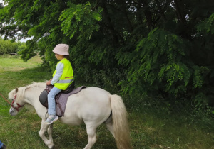 Zdjęcie 25 na 40