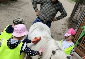Zdjęcie 6 na 40