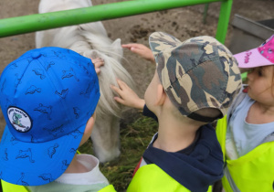 Na zdjęciu widzimy dzieci, które głaszczą kucyka.