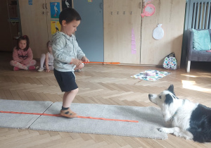 chłopiec podaje psu karmę