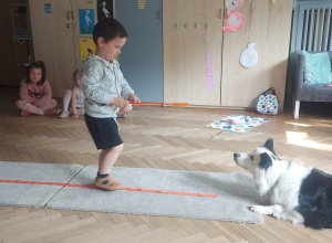 Dogoterapia