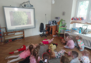 sprawdzanie za pomocą programu co wspólnego mają fraktale z kalafioremal