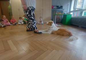 Bibi wykonuje zadanie