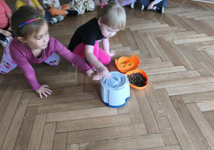 Zdjęcie 3 na 24