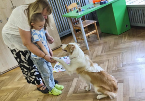 Zdjęcie 17 na 24