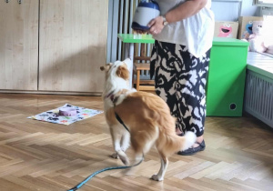 Zdjęcie 20 na 24