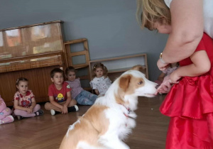 Dziewczynka wykonuje z psem komendę - podaj łapę