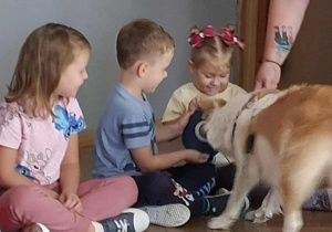 Pies dotyka nosem przycisk uwalniając w zabawce smakołyki