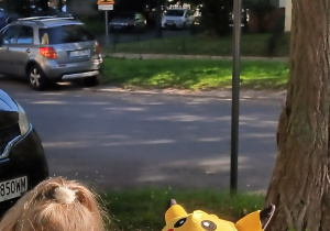 Dzieci stoją na ulicy i obserwują znaki drgowe.