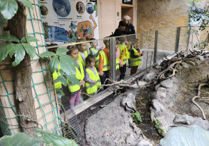 Na zdjęciu widzimy grupkę dzieci, które obserwują żółwia w wielkim terrarium.