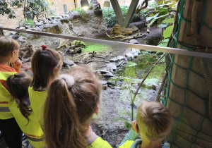 Na zdjęciu widzimy grupkę dzieci, które obserwują żółwia w wielkim terrarium.