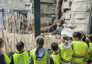 Na zdjęciu wdizimy grupkę dzieci, które osberwują zachowania tapira.