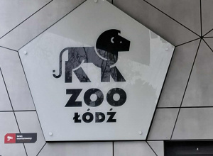 Wycieczka do ZOO