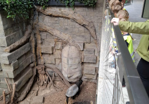 Dzieci oglądają zwierzęta w Orientarium