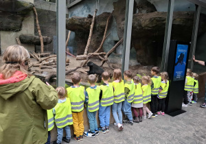 Dzieci oglądają zwierzęta w Orientarium