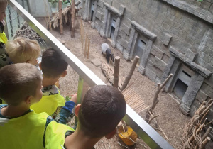 Dzieci oglądają zwierzęta w Orientarium