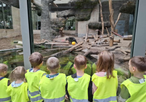 Dzieci oglądają zwierzęta w Orientarium