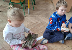 dzieci oglądają korę drzewa