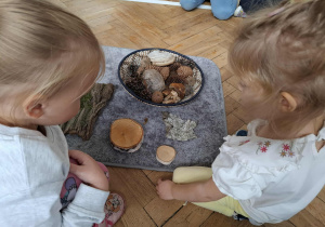 dziewczynki oglądają naturalny materiał