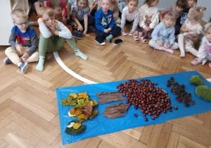 Dzieci siedzą na podłodze i oglądają leśną ścieżkę sensoryczą.