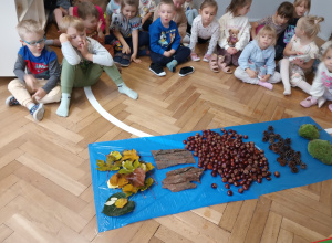 Leśna ścieżka