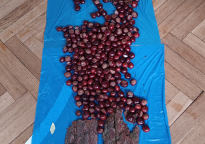 Ścieżka sensoryczna składająca się z szyszek, mchu, kasztanów, kory drzewa, liści.