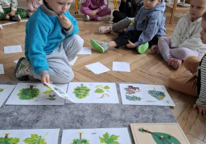 dzieci dopasowują liście do drzewa