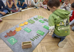 chłopiec przelicza liście